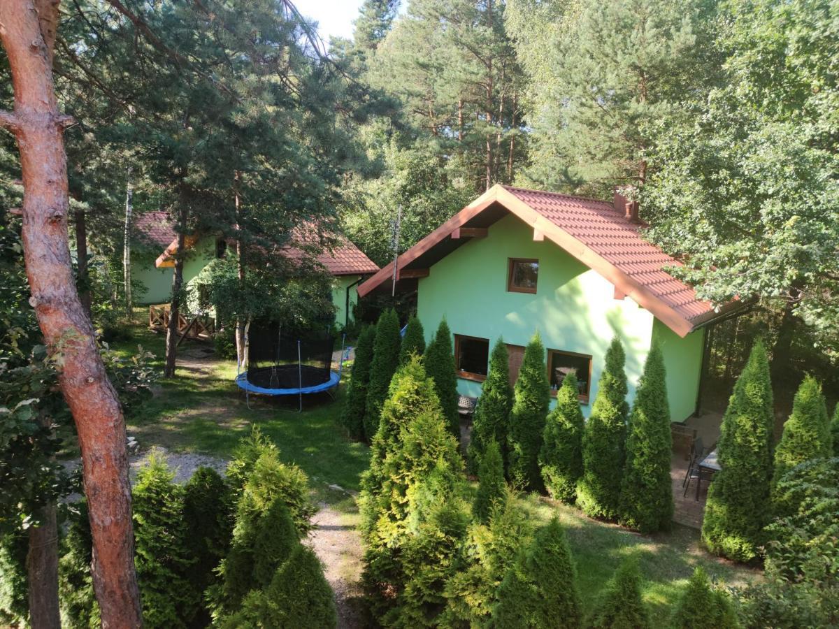 Niezapominajka-Jura Villa Niegowa Eksteriør bilde